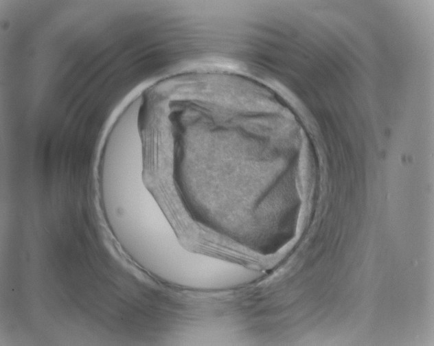 X0000080720864200701051032