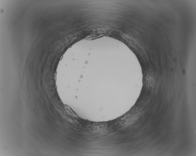 X0000080720865200701051032