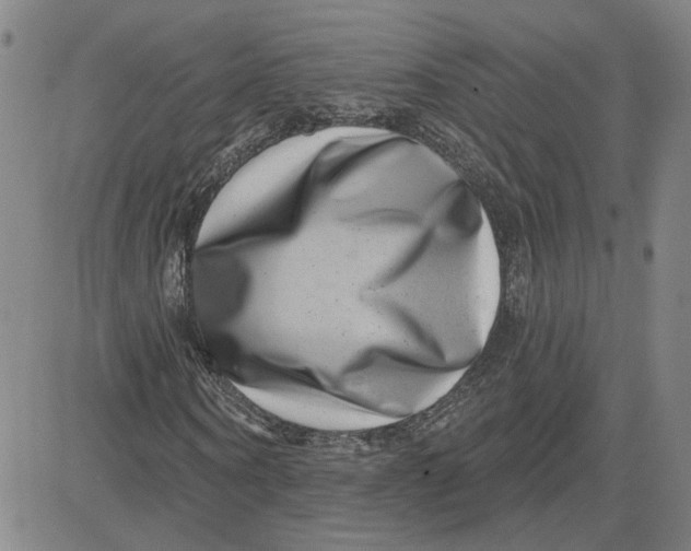 X0000080720866200701051032