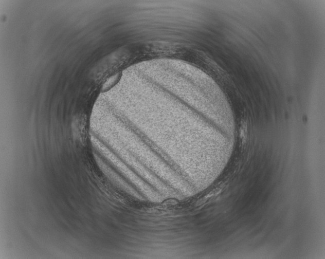 X0000080720867200701051032