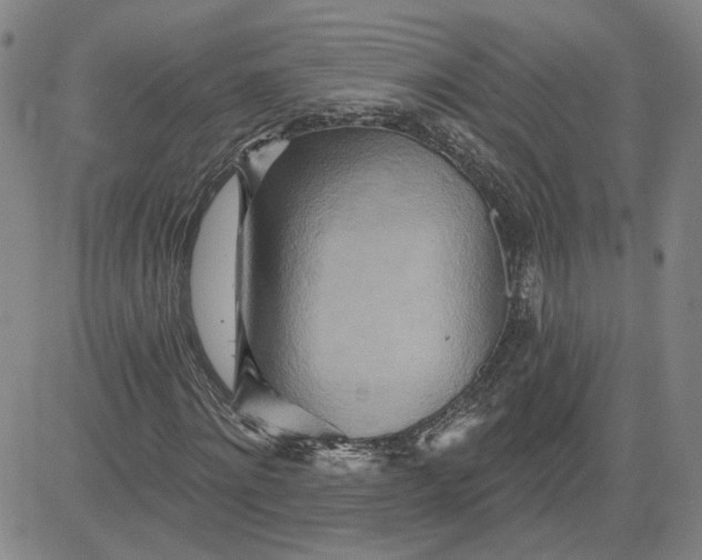 X0000080720868200701051032