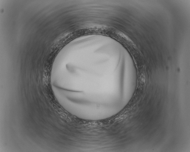 X0000080720869200701051032