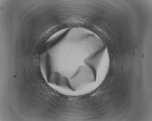 X0000080720870200701051032