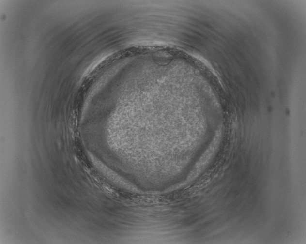 X0000080720871200701051032