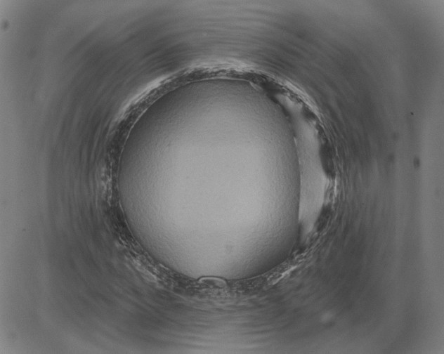 X0000080720872200701051032