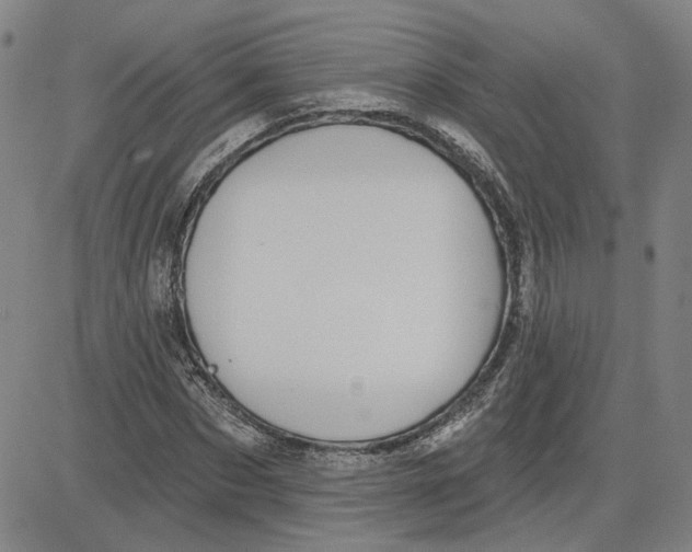 X0000080720873200701051032