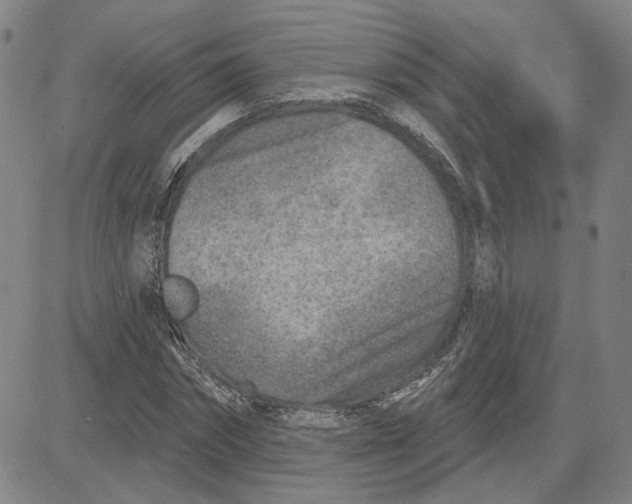 X0000080720874200701051032