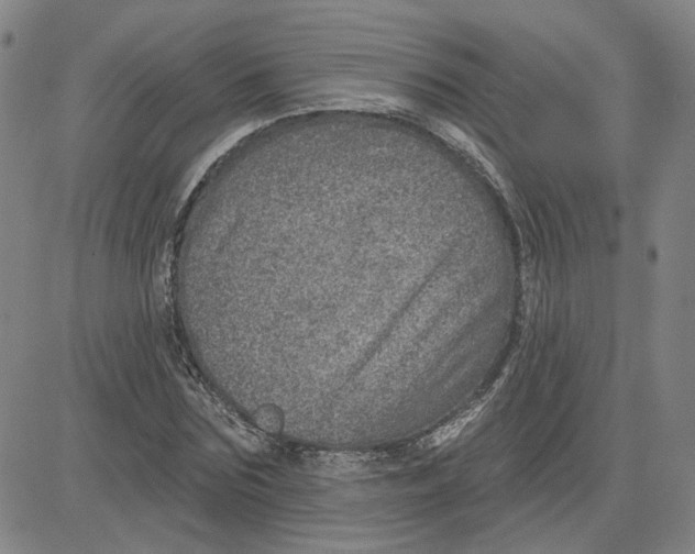 X0000080720875200701051032