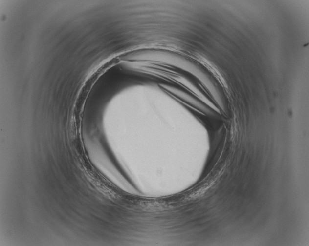 X0000080720876200701051032