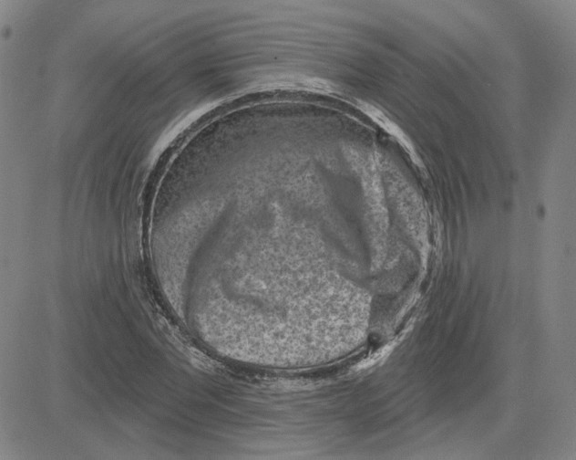 X0000080720877200701051031