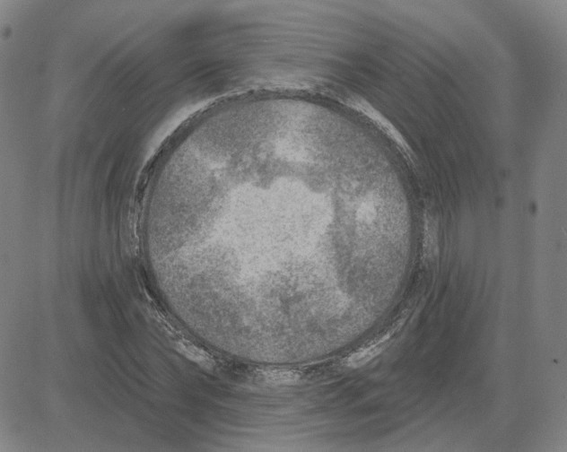 X0000080720878200701051031