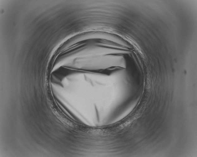 X0000080720880200701051031