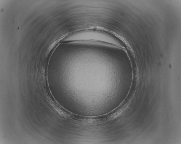 X0000080720881200701051031