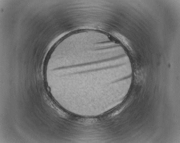 X0000080720884200701051031