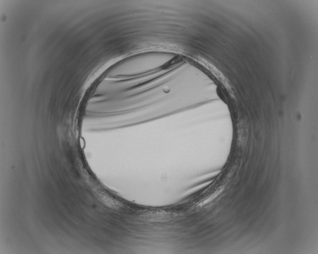 X0000080720885200701051031