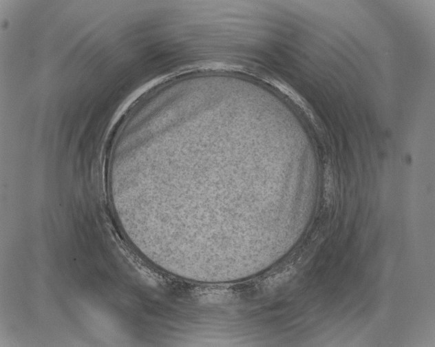 X0000080720886200701051031