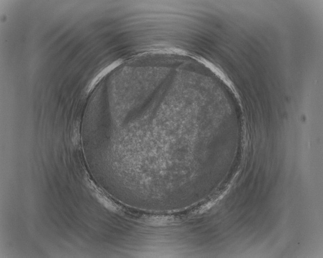 X0000080720889200701051031