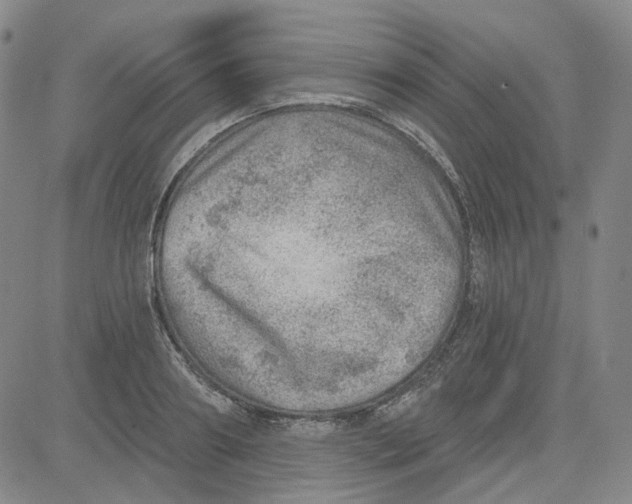 X0000080720890200701051031