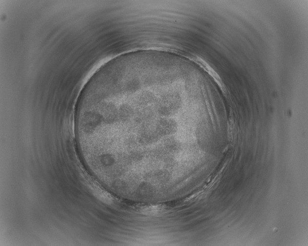 X0000080720891200701051031