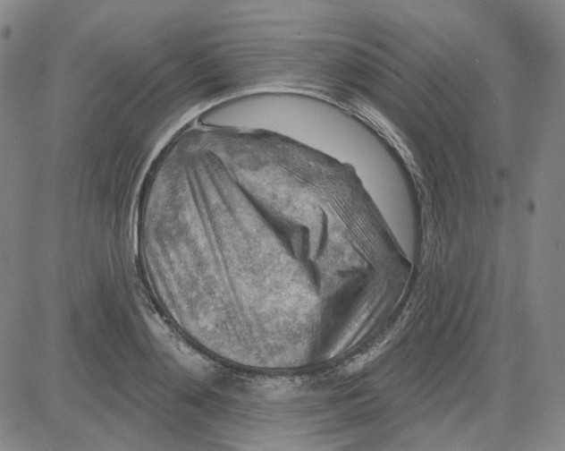 X0000080720892200701051031