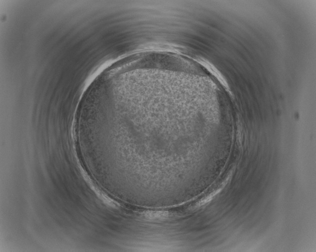 X0000080720893200701051031