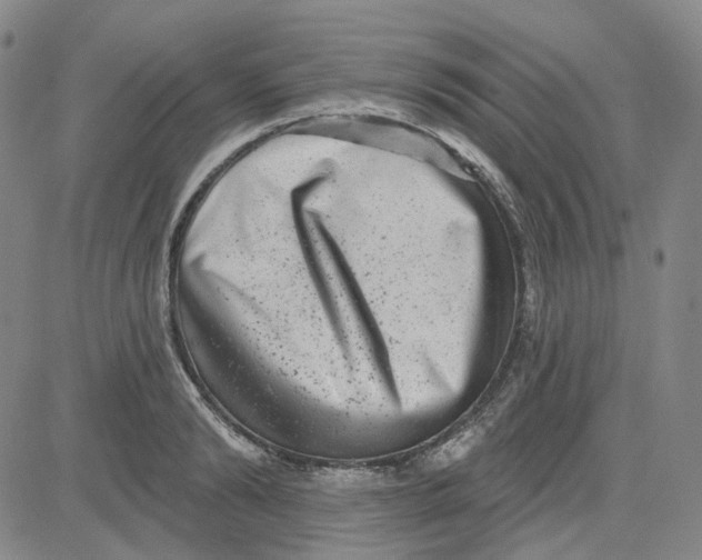 X0000080720894200701051031