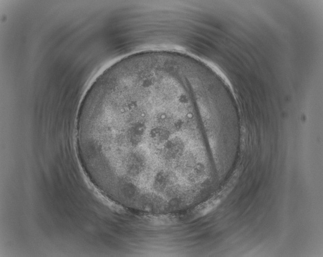 X0000080720895200701051031