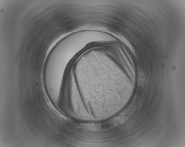 X0000080720896200701051031