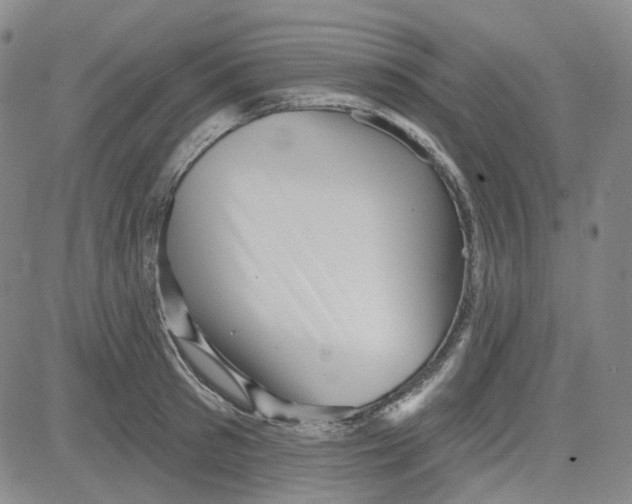 X0000080720897200701051031