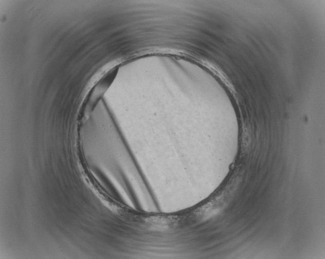 X0000080720898200701051031