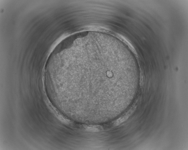 X0000080720899200701051031