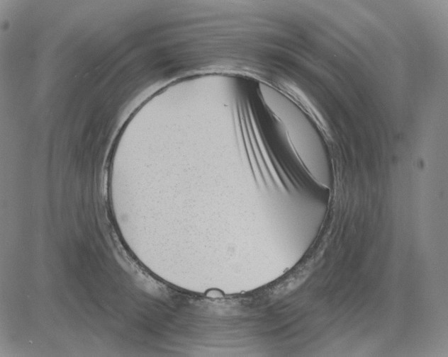 X0000080720900200701051031