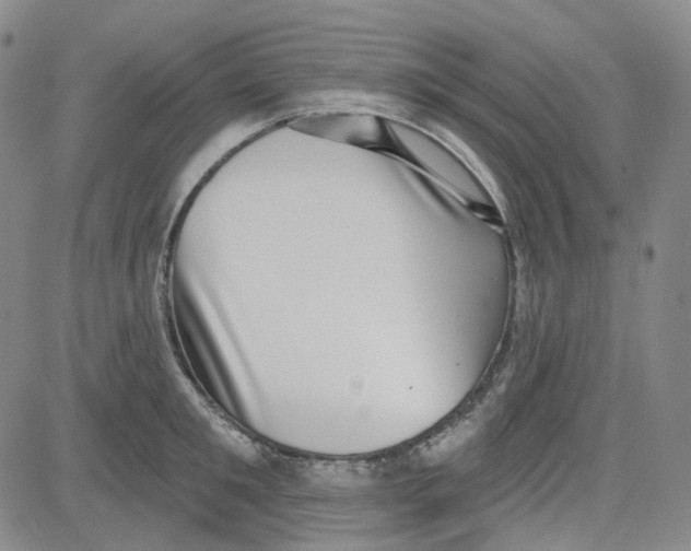 X0000080720901200701051031