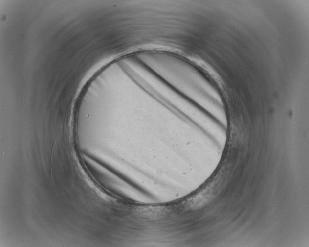 X0000080720902200701051031