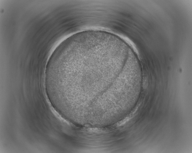 X0000080720903200701051031