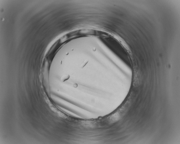 X0000080720904200701051031