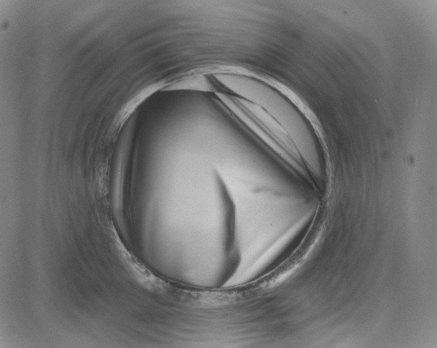 X0000080720905200701051031