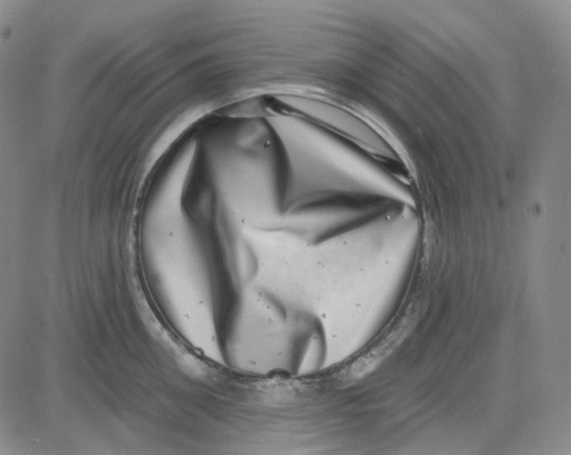 X0000080720906200701051031