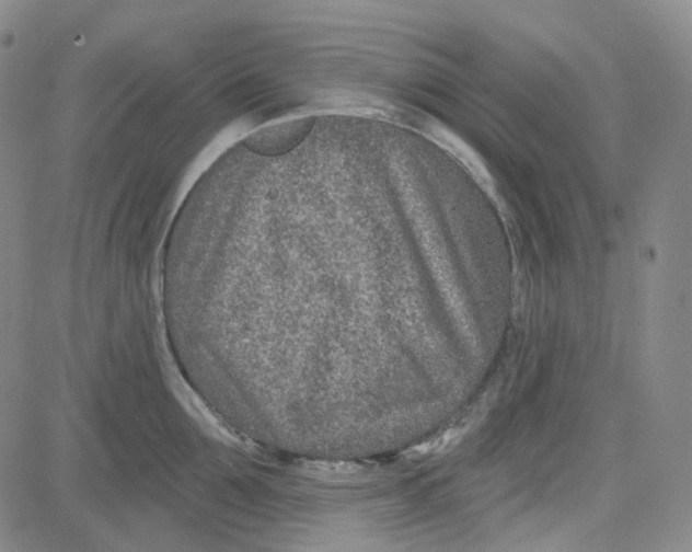 X0000080720907200701051031