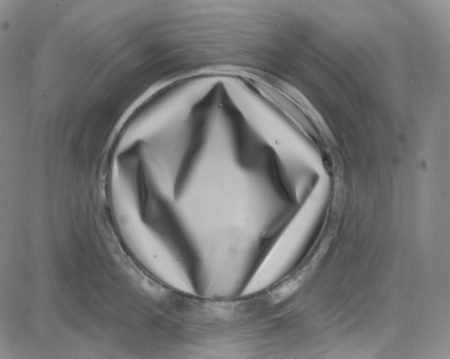 X0000080720908200701051031