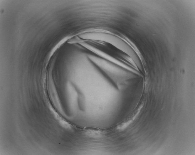 X0000080720909200701051031