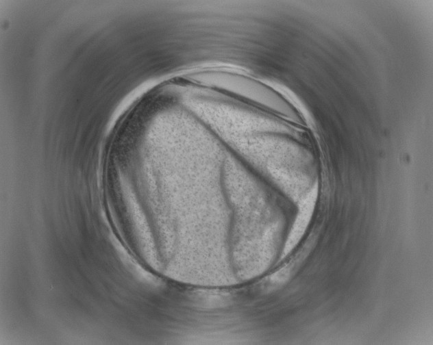 X0000080720910200701051031