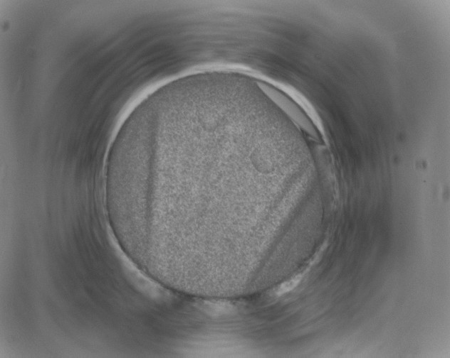 X0000080720911200701051031