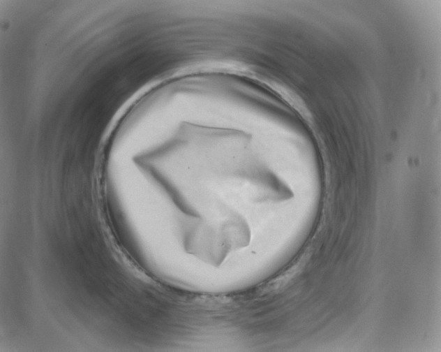 X0000080720912200701051031