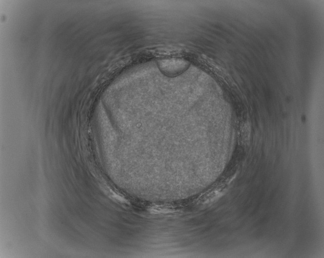 X0000080720913200701051030