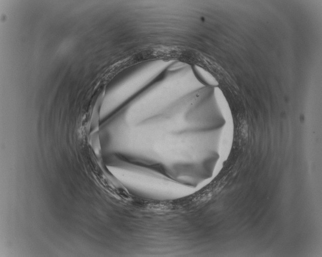 X0000080720914200701051030