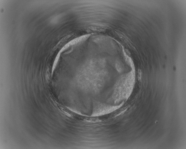 X0000080720915200701051030