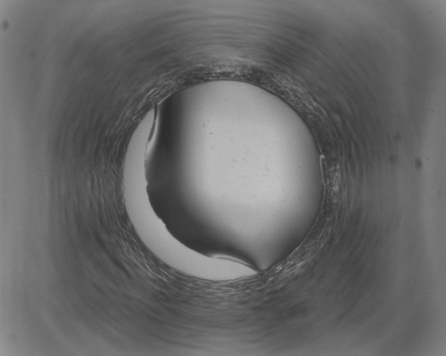 X0000080720916200701051030