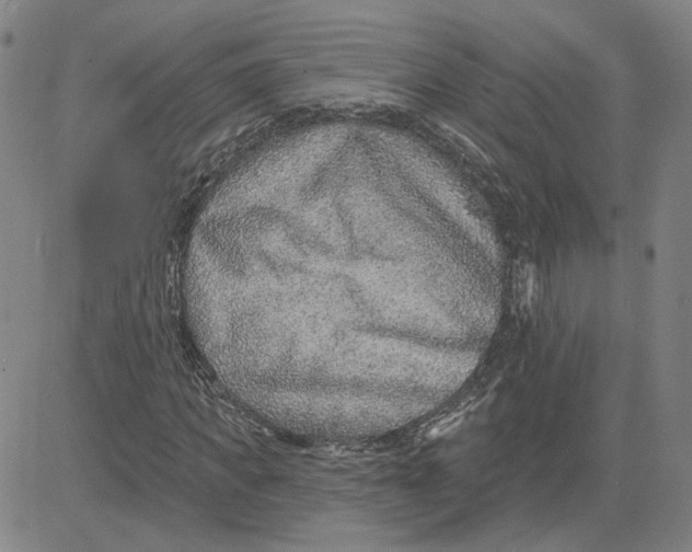 X0000080720917200701051030