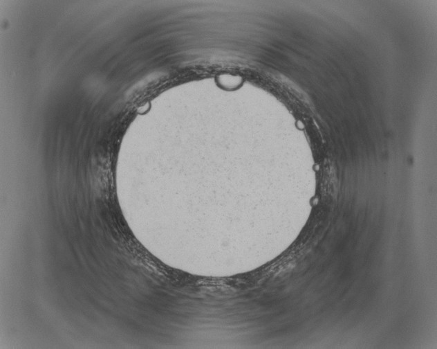 X0000080720918200701051030